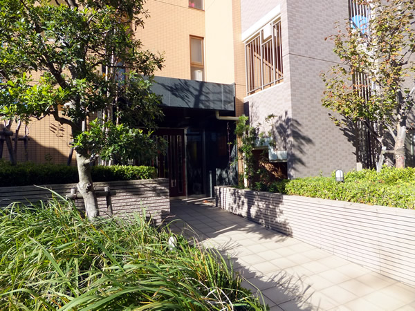 レクシオ綱島の外観