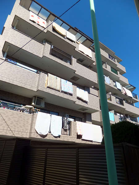 ナイスアーバン綱島の外観