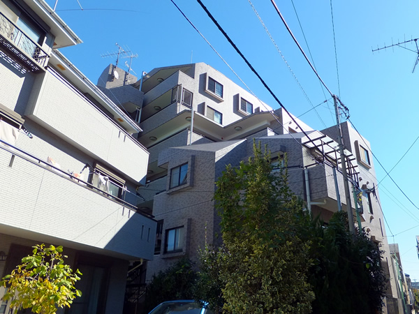 ナイスアーバン綱島の外観