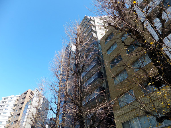 千駄ヶ谷フラワーマンションの外観