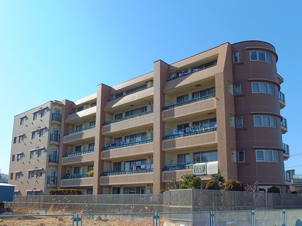 マイキャッスル向ヶ丘リベラスの外観