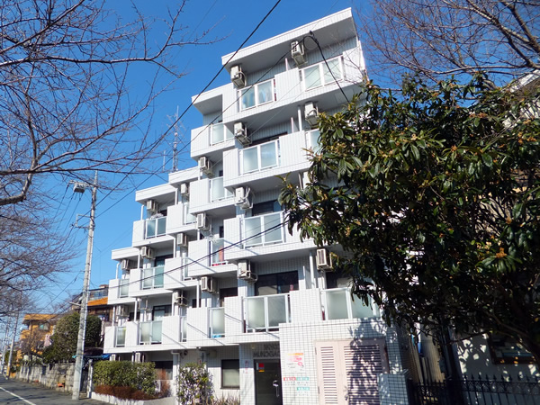 スカイコート向ヶ丘遊園2の外観