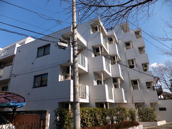 スカイコート向ヶ丘遊園2の外観