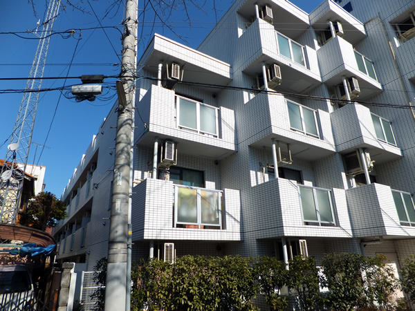 スカイコート向ヶ丘遊園2の外観