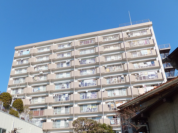 グレイス向ヶ丘遊園の外観