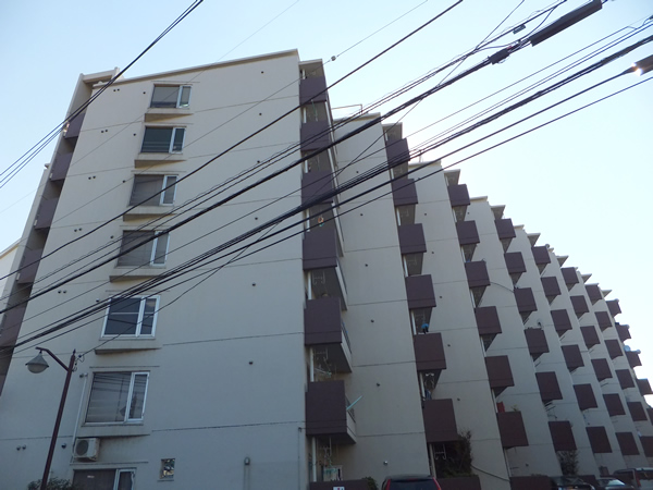 ドミール向ヶ丘の外観