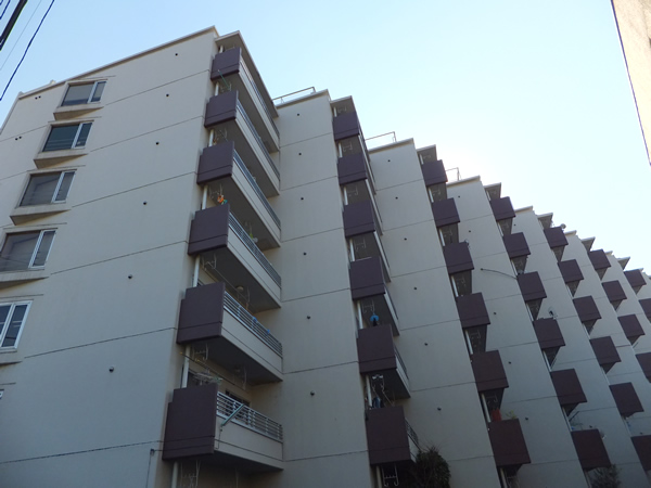 ドミール向ヶ丘の外観