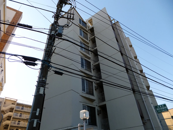 ドミール向ヶ丘の外観