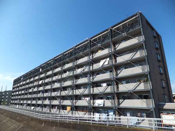 豊栄綱島マンションの外観