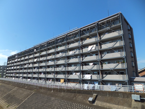 豊栄綱島マンションの外観