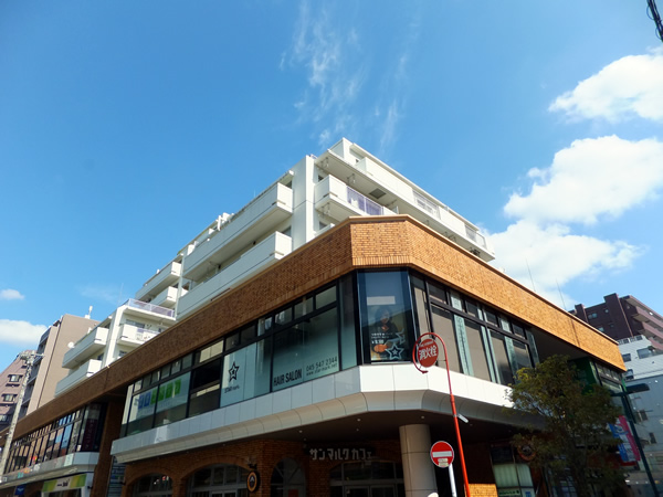 ニックハイム黒川ビルの外観