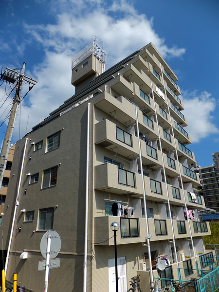 ダイアパレス綱島の外観