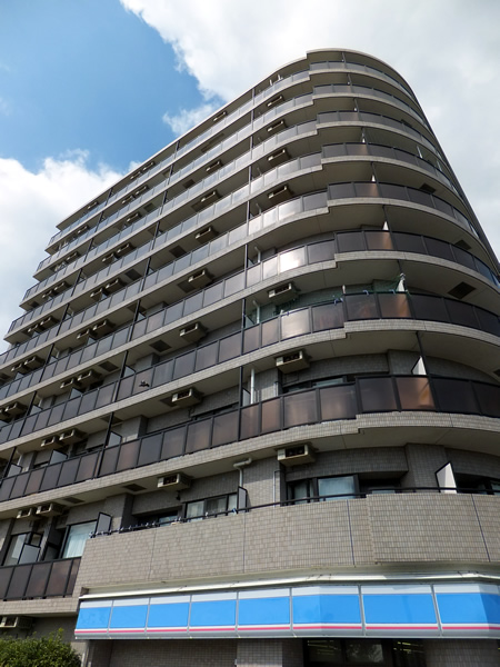 リバーデイズ綱島の外観