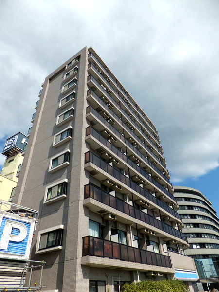 リバーデイズ綱島の外観