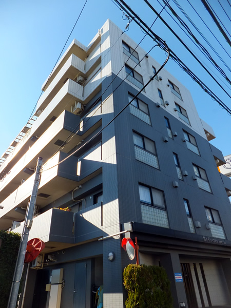 マイキャッスル稲田堤六番館の外観