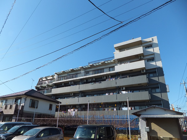 マイキャッスル稲田堤六番館の外観