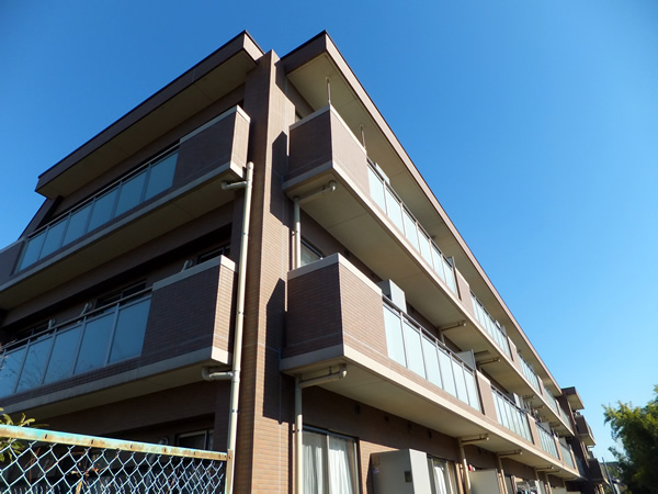 ミオカステーロ稲田堤3の外観