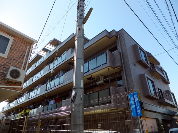 セレナハイム多摩川中野島の外観