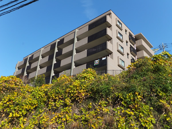 生田ビューフォルムの外観