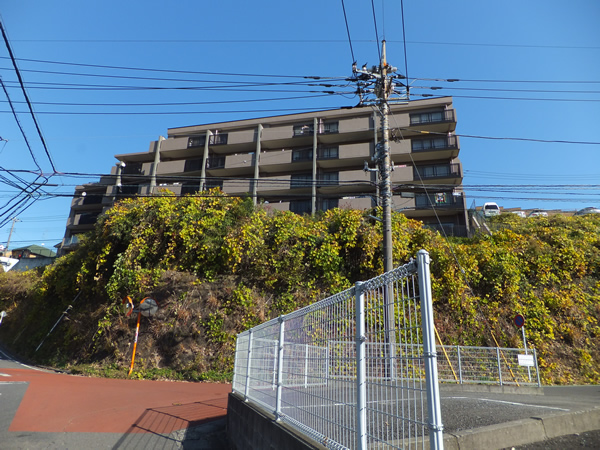 生田ビューフォルムの外観