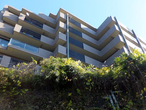 生田ビューフォルムの外観