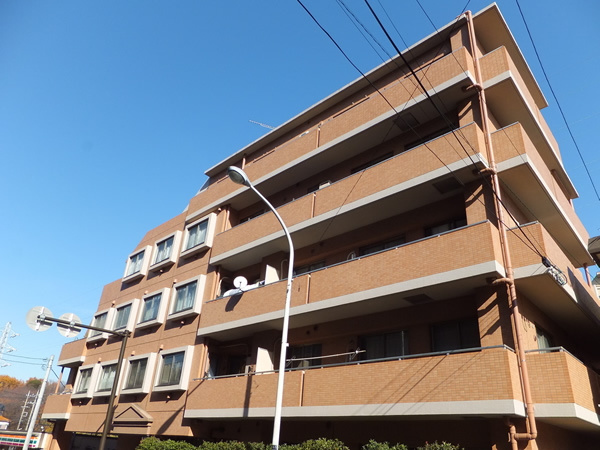 スターロワイヤル生田の外観