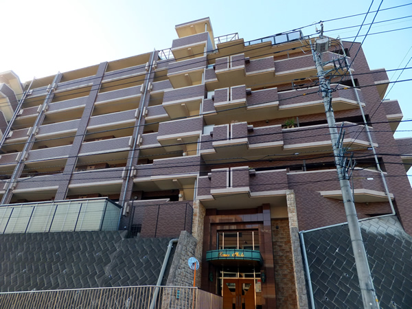 ドメス生田の外観