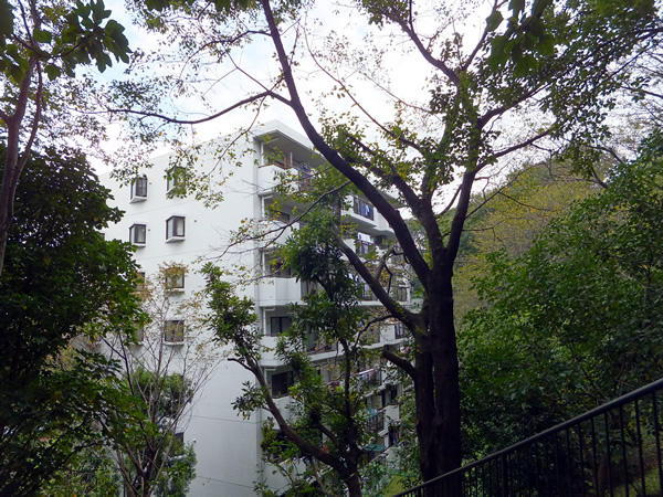 コンドミニアムヴェル大倉山の外観