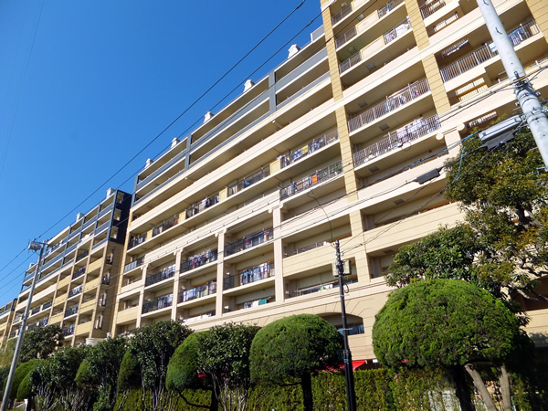 レイディアントシティ向ヶ丘遊園フランス街区の外観