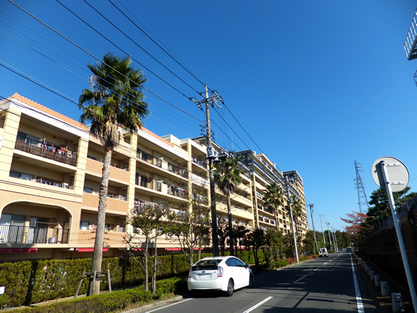 レイディアントシティ向ヶ丘遊園フランス街区の外観