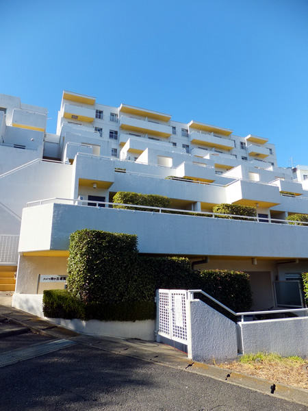 ハイツ向ヶ丘遊園の外観