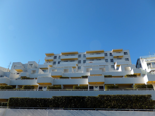 ハイツ向ヶ丘遊園の外観