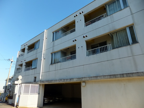 ハイツ向ヶ丘遊園の外観