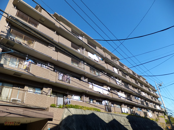 シティウインズ生田の外観