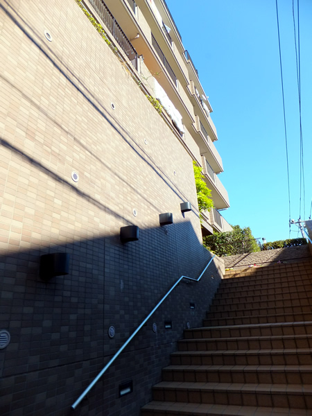 シティウインズ生田の外観