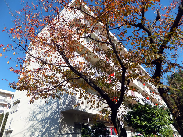 生田住宅2号棟の外観