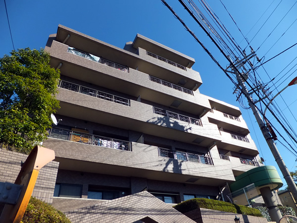 日神パレステージ向ヶ丘遊園の外観