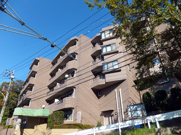 日神パレステージ向ヶ丘遊園の外観