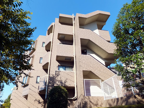 日神パレステージ向ヶ丘遊園の外観