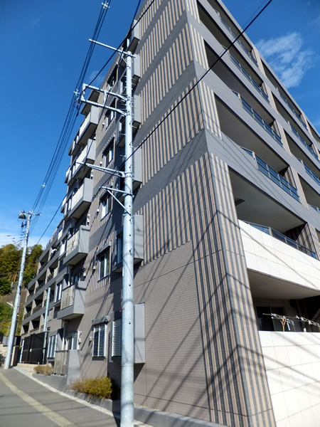 ライオンズ向ヶ丘遊園エアージュの外観