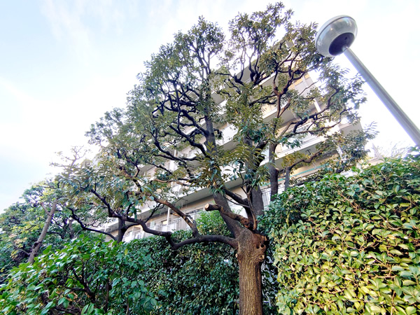 飯田橋第1パークファミリアの外観