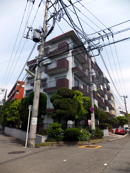 ドミール二子玉川の外観