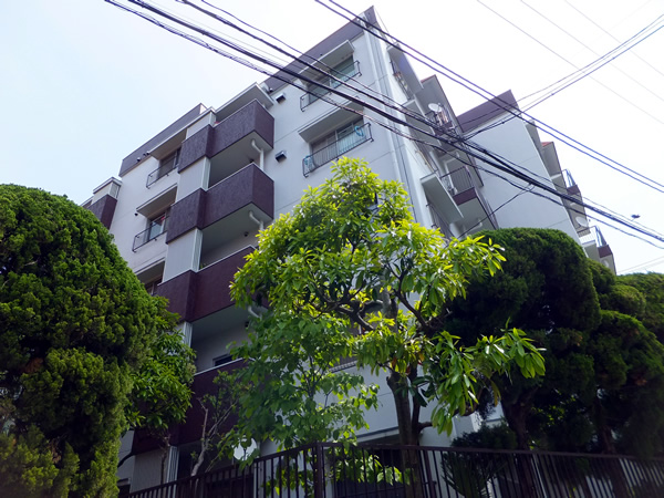 ドミール二子玉川の外観