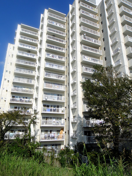 多摩リバーサイドハウスの外観