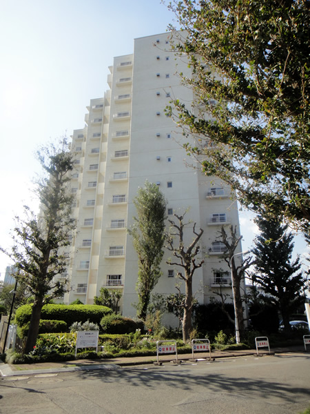 多摩リバーサイドハウスの外観