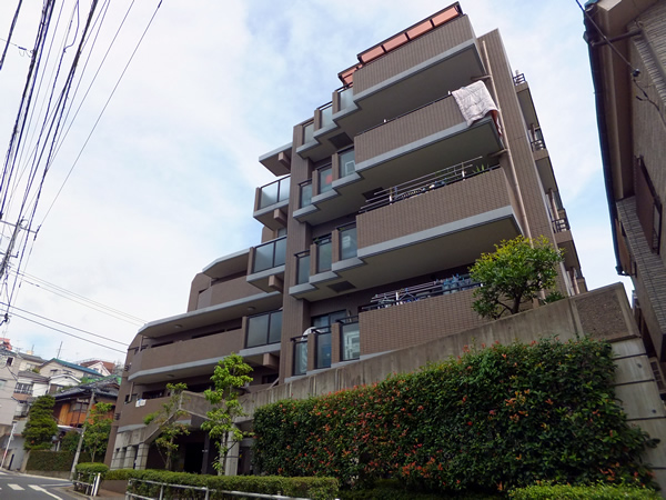 ピアチェーレ板橋徳丸の外観