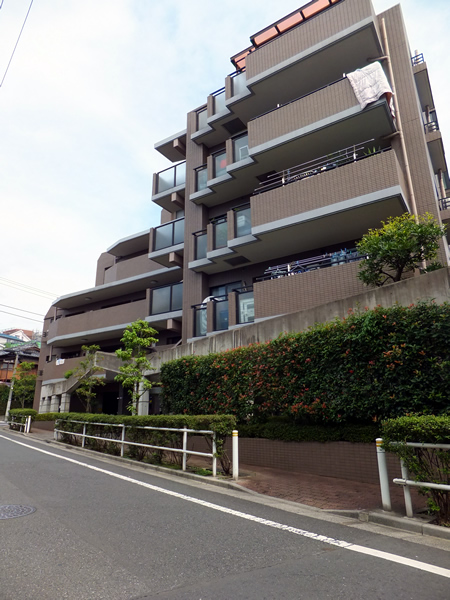 ピアチェーレ板橋徳丸の外観