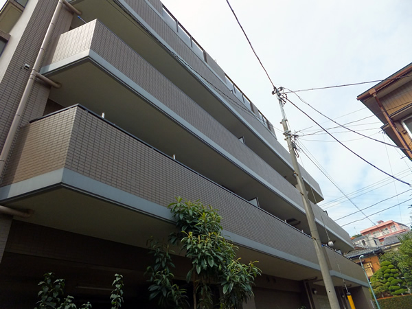 ピアチェーレ板橋徳丸の外観