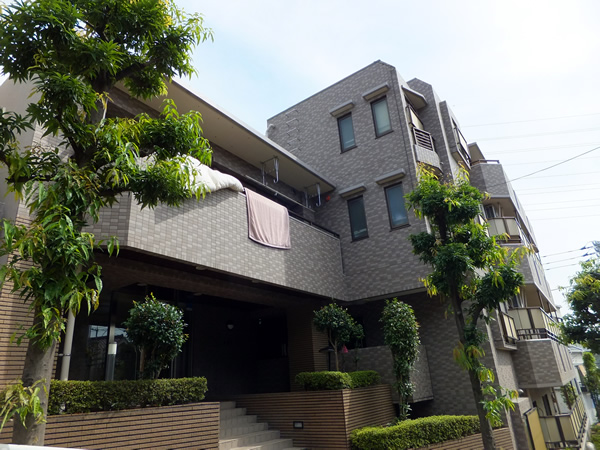 チサンマンション板橋徳丸の外観