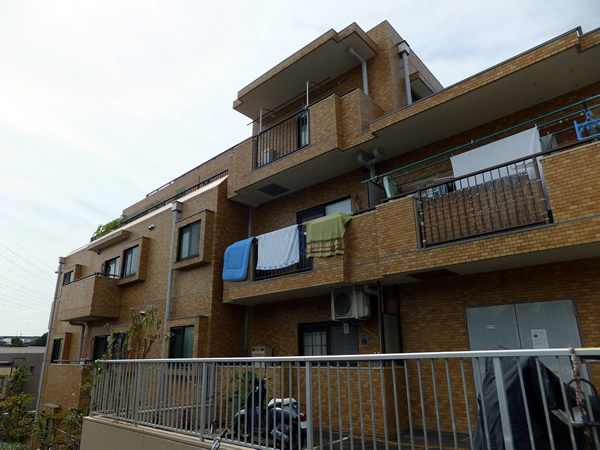 ライオンズマンション徳丸の外観